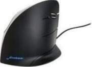 Equip Equip Pro - Patch- Cable