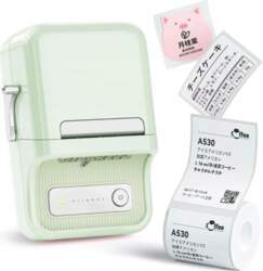 Niimbot B21S Portable Label Printer (mint)