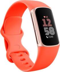 Fitbit Charge 6 OLED Wristband Activity
