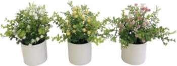 Artificial Eucalyptus Pot – Gypso 21
