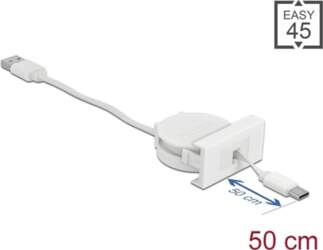 Delock Easy 45 Module USB 2