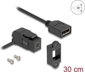 Delock Keystone Module Mini DisplayPort panel