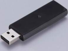 Epson Wireless LAN Interface-P1 (5GHz) |