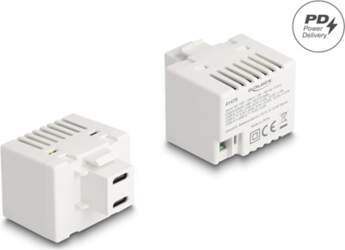 Delock Keystone Module with 2 x
