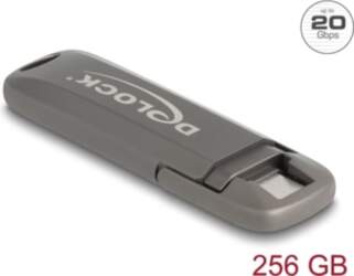Delock USB 20 Gbps USB-C™ Memory