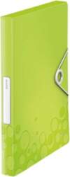 Leitz WOW box file 250 sheets