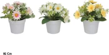Artificial Daisy Mix Pot 16 cm