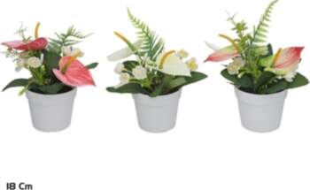 Artificial Pot Anthuriums-Fern x3 – 18