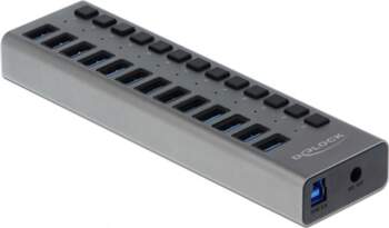 Delock External USB 5 Gbps Hub