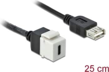 Delock Keystone Module USB 2.0