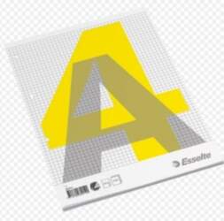 Notebook, removable pages, Esselte, A4/100, Squared