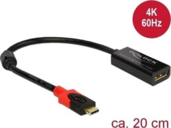 Delock DisplayPort Adapter for a USB