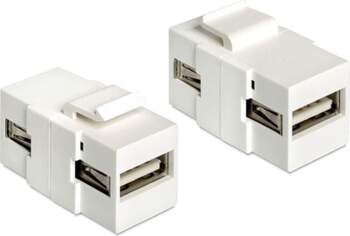Delock Keystone Module USB 2.0