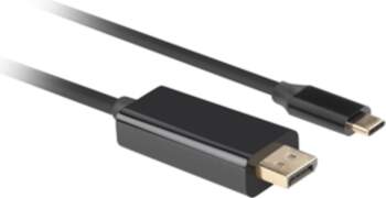 Lanberg CA-CMDP-10CU-0010-BK video cable adapter 1