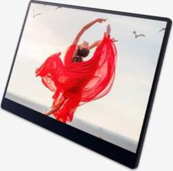 Ricoh 150BW Mobile OLED-Monitor with Touchscreen