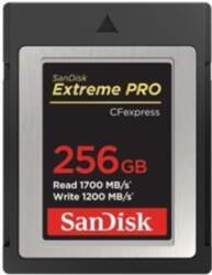 MEMORY COMPACT FLASH 256GB/SDCFE-256G-GN4NN SANDISK SDCFE-256G-GN4NN