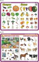 Visual System Podkadka edu. 003 -
