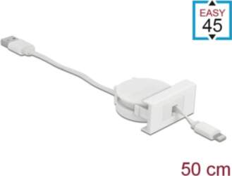 Delock Easy 45 Module USB 2