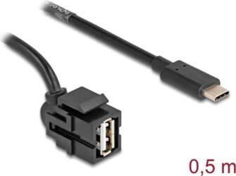 Delock Keystone Module USB 2.0