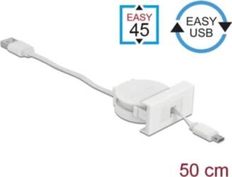 Delock Easy 45 Module USB 2