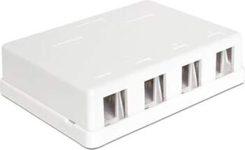 Delock Keystone Surface Mounted Box 4