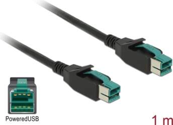 Delock PoweredUSB cable male 12 V