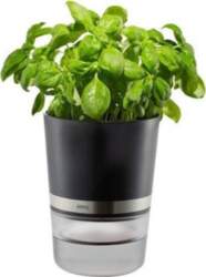 Gefu Botanico Herb Pot 18920