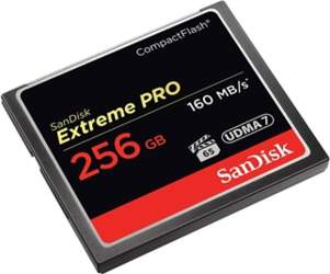 MEMORY COMPACT FLASH 256GB/SDCFXPS-256G-X46 SANDISK SDCFXPS-256G-X46