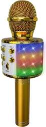 Gonik Akai Lightning karaoke mic Zoty