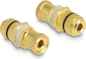 Delock Audio Adapter binding post to