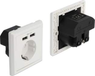 Delock Wall Socket with 2 x