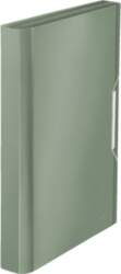 Leitz 39570053 box file 250 sheets