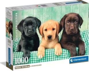 Clementoni Puzzle Compact Three Labs 1000