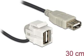 Delock Keystone Module USB 2.0