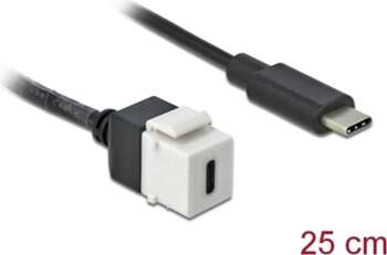 Delock Keystone Module USB 5 Gbps