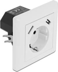 Delock Wall Socket with 2 x