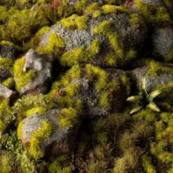 Gamers Grass : Grass tufts -
