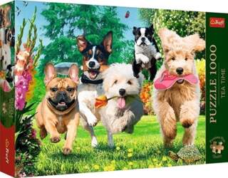 Trefl Puzzle 1000 elementów Premium Plus