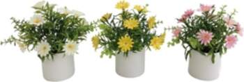 Artificial Daisy Pot 20 cm, 15x15x20