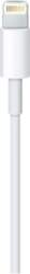 Kabelis Apple Lightning Male - USB