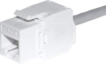 NetRack Modu keystone Jack RJ45 kat