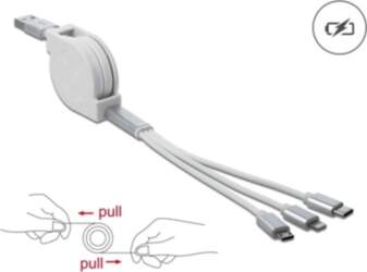 Delock USB Type-A 3 in 1