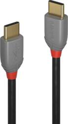 Lindy 3m USB 2.0 Type
