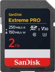 MEMORY SDXC 2TB UHS-1/SDSDXXD-2T00-GN4IN SANDISK SDSDXXD-2T00-GN4IN