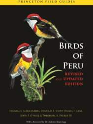 Birds of Peru