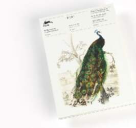 Birds: Writing Paper & Note Pad