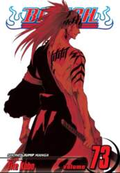 Bleach, Vol. 73