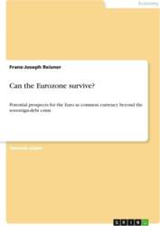 Can the Eurozone survive?: Potential