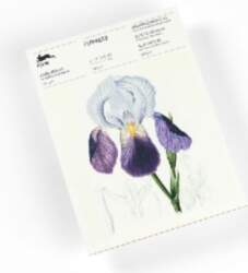 Flowers: Writing Paper & Note Pad