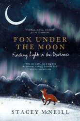 Fox Under the Moon: Finding Light